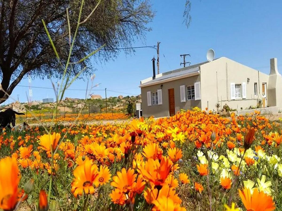 Kamieskroon Cosy Cottage Εξωτερικό φωτογραφία